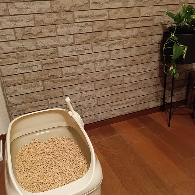 sa.yさんの実例写真