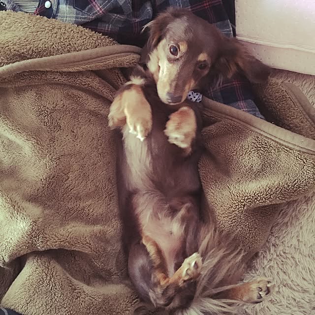 yumitakaさんの実例写真