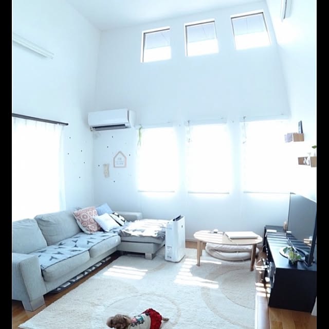 Tarutoさんの実例写真