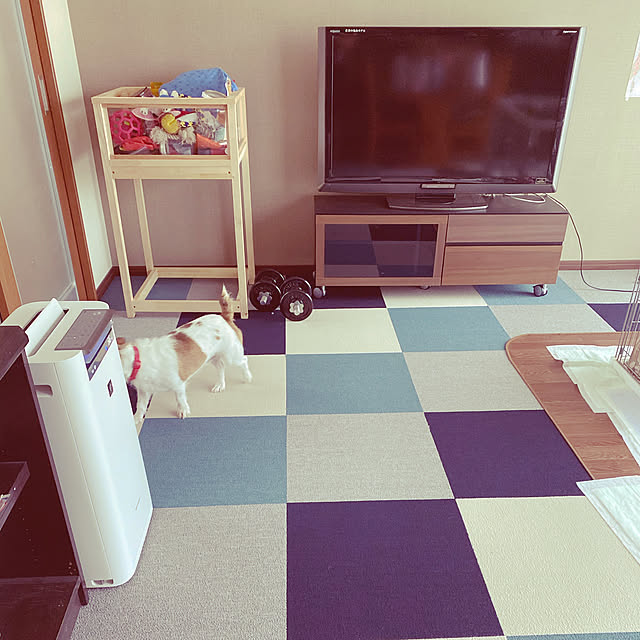 naoさんの実例写真