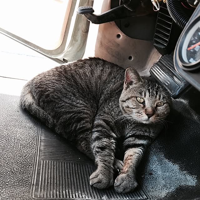 NAOMIさんの実例写真
