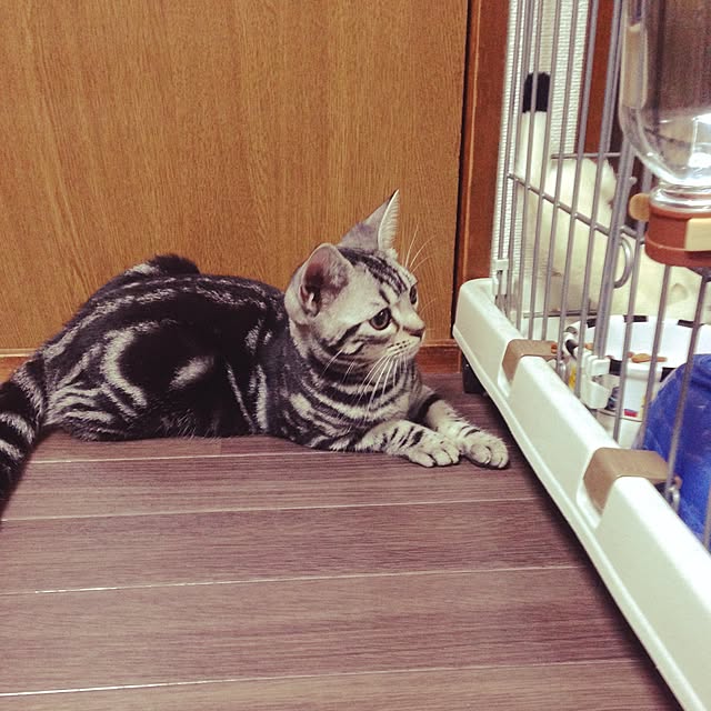 erikaさんの実例写真
