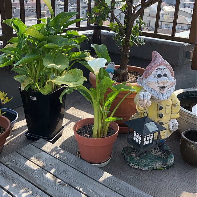 実例写真