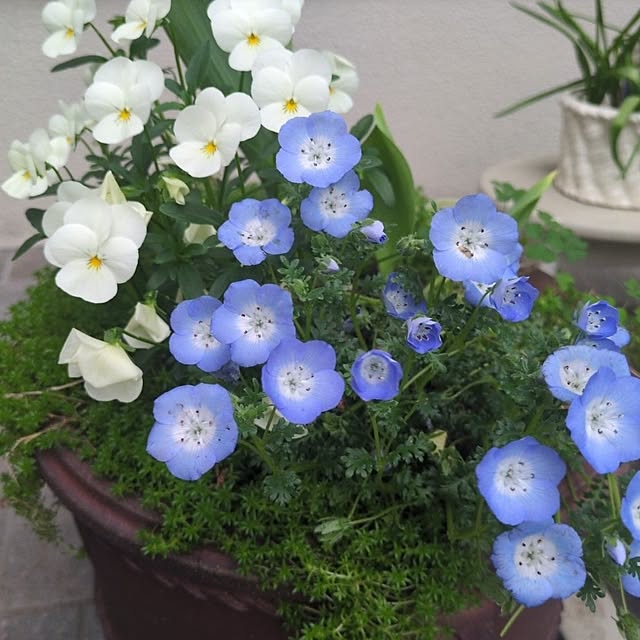 Rさんの実例写真