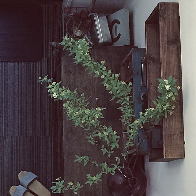 r_marcheさんの実例写真