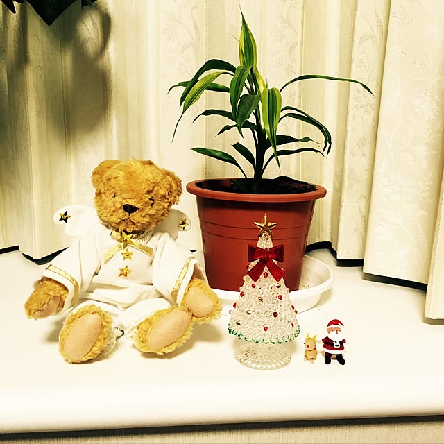 riisaさんの実例写真