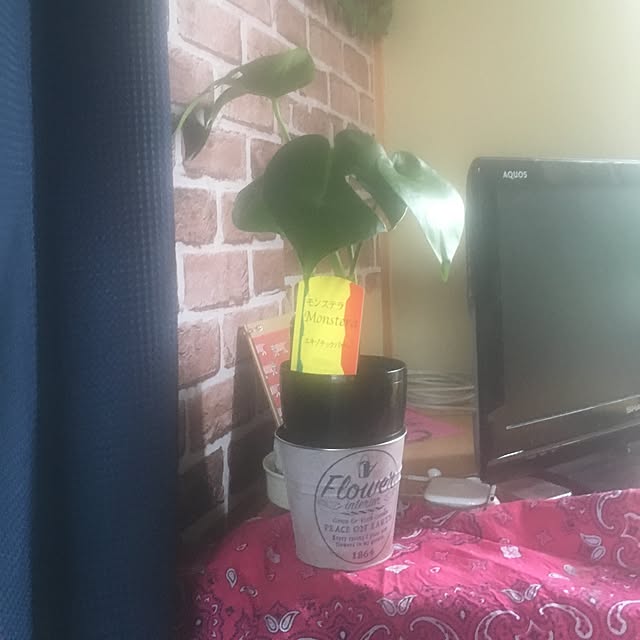 eee.aaa.mさんの実例写真