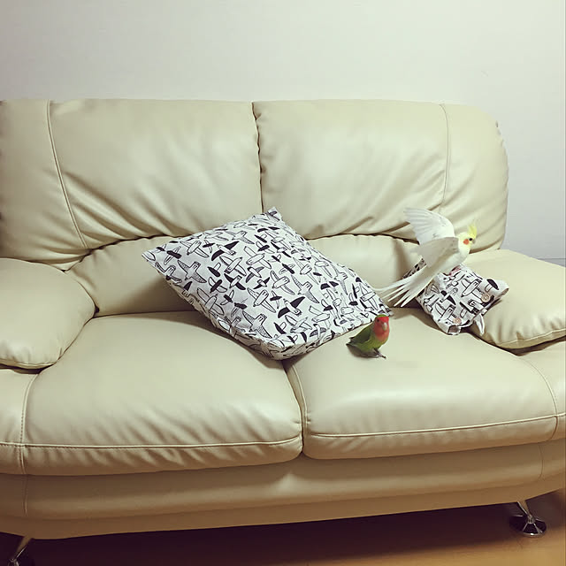 toratanさんの実例写真