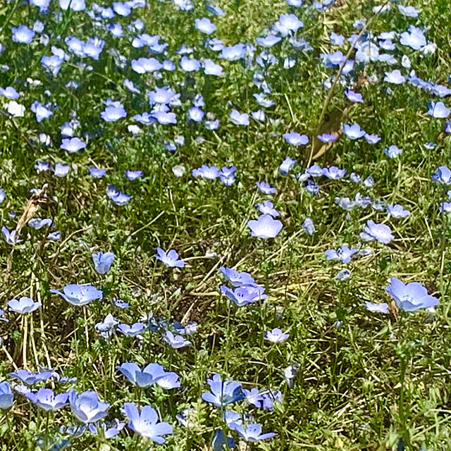 tututu0204さんの部屋