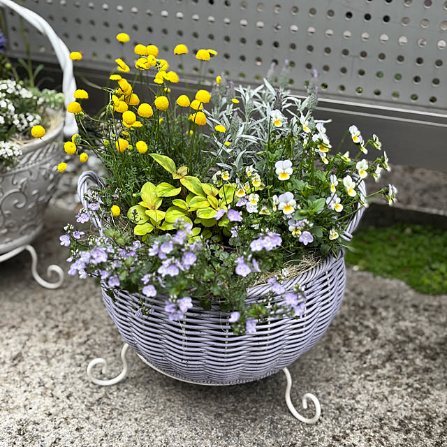 maayaさんの部屋