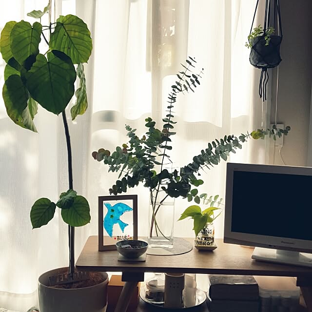Mikaさんの実例写真
