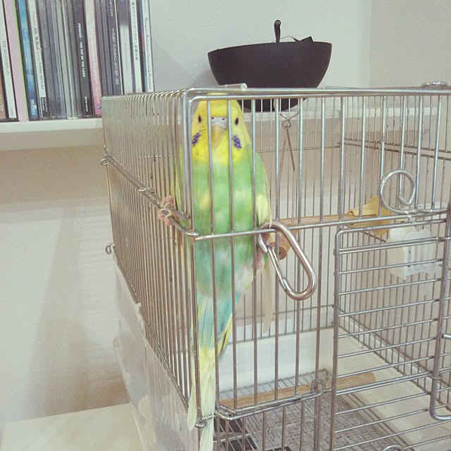 maamiさんの実例写真