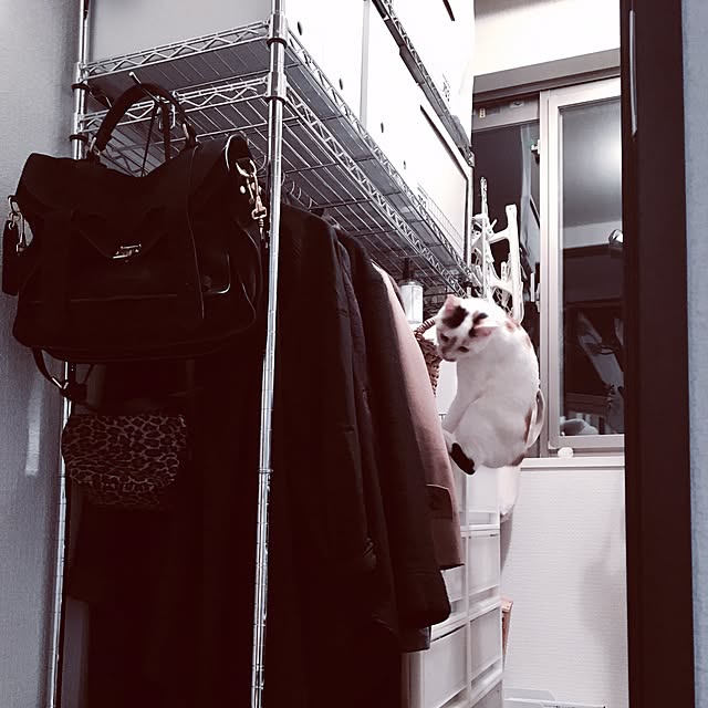 biblicatさんの実例写真