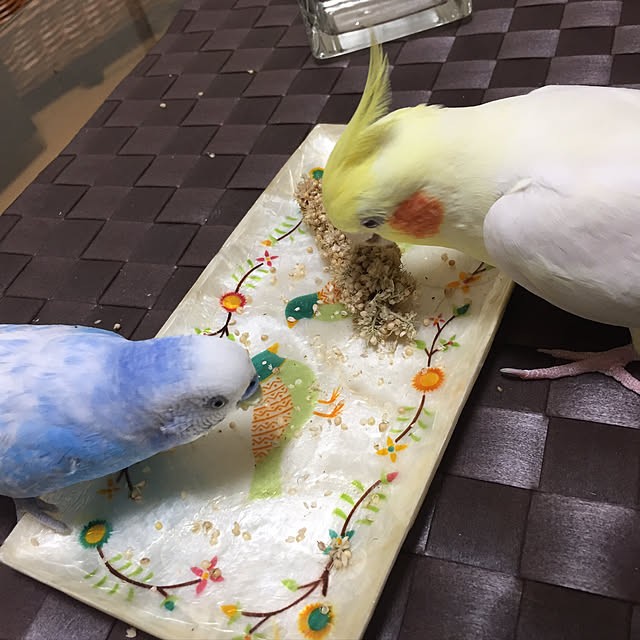 toratanさんの実例写真