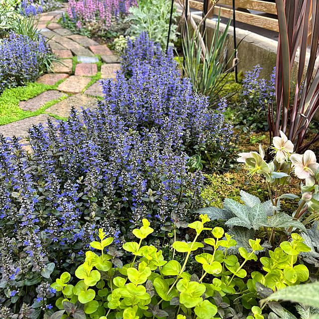 kyoko1124koさんの部屋