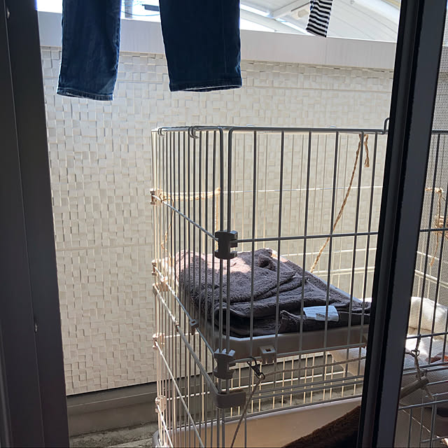 gyo_yukiさんの実例写真