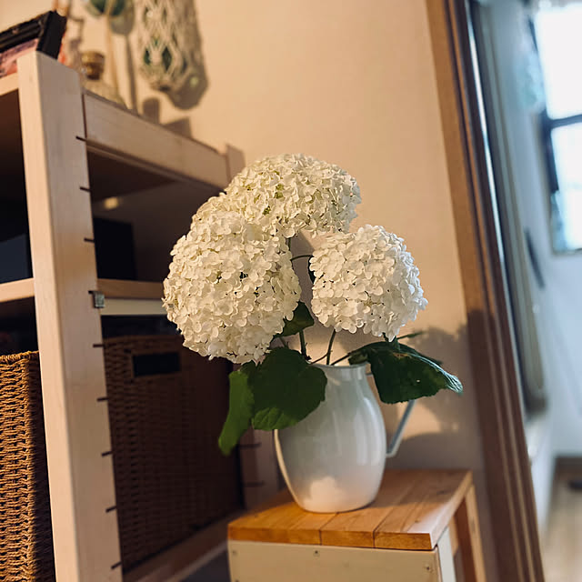t_n.homeさんの実例写真