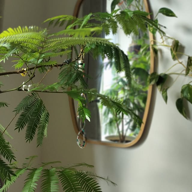jamjamさんの部屋