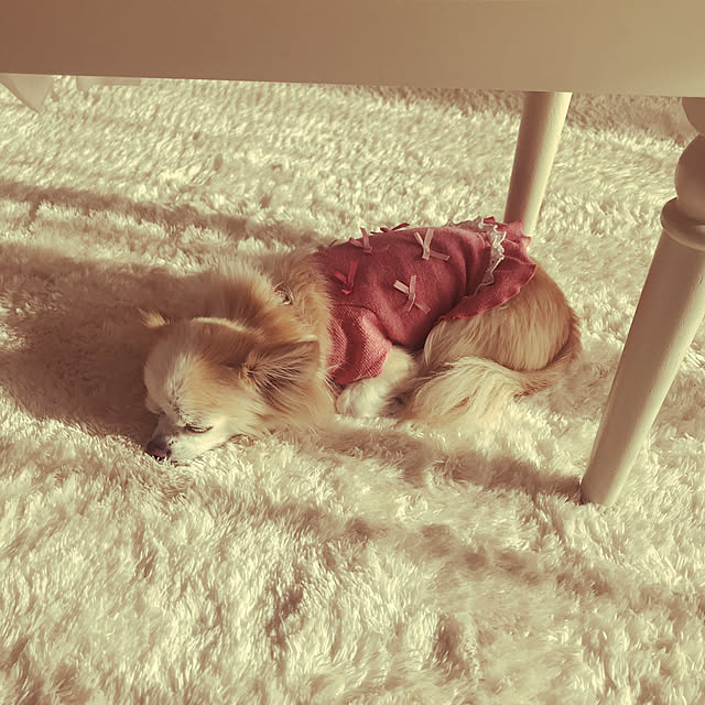 Sweetpeaさんの実例写真