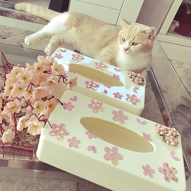 ayakona114さんの実例写真