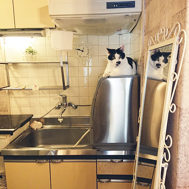 asuminさんの実例写真