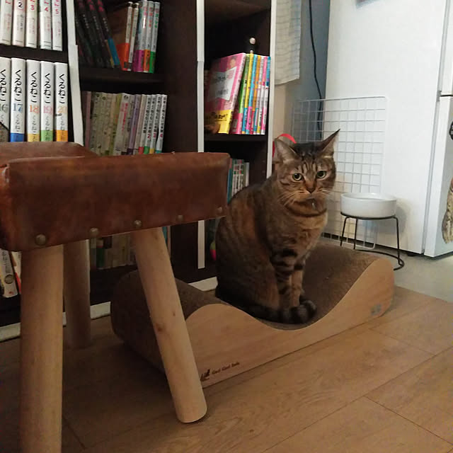 futukoさんの実例写真