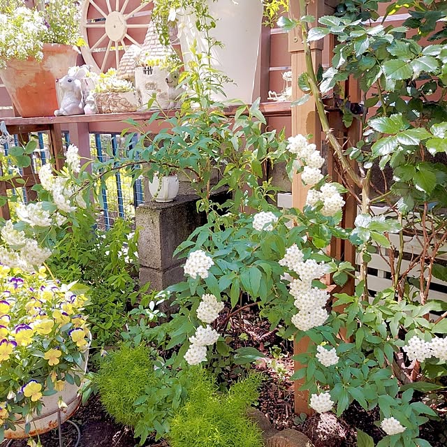 aikkoさんの部屋