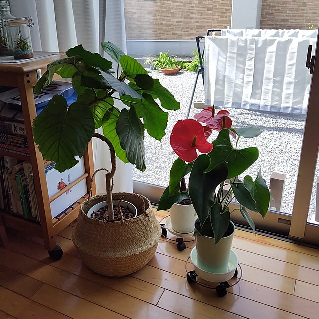 mutsuさんの実例写真