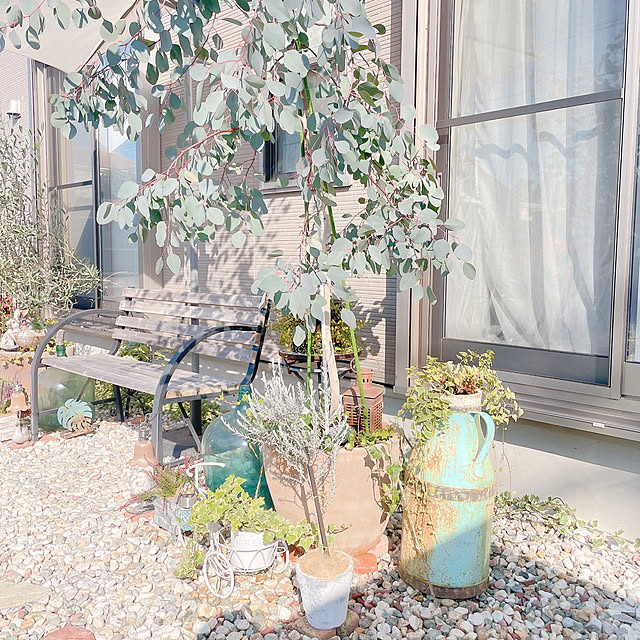 akiko-ovさんの部屋