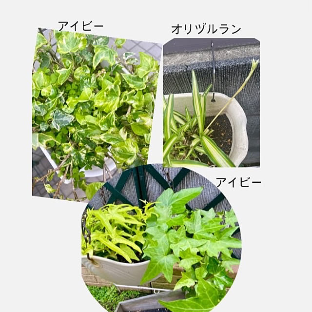 YuuKoさんの実例写真