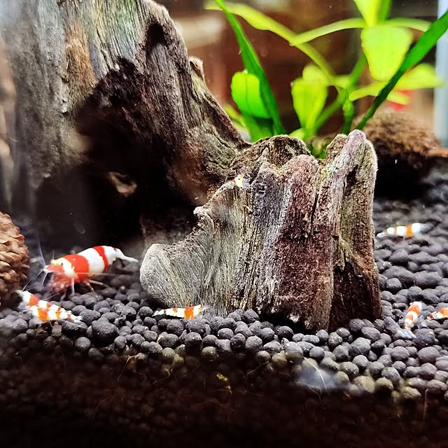 yamさんの部屋
