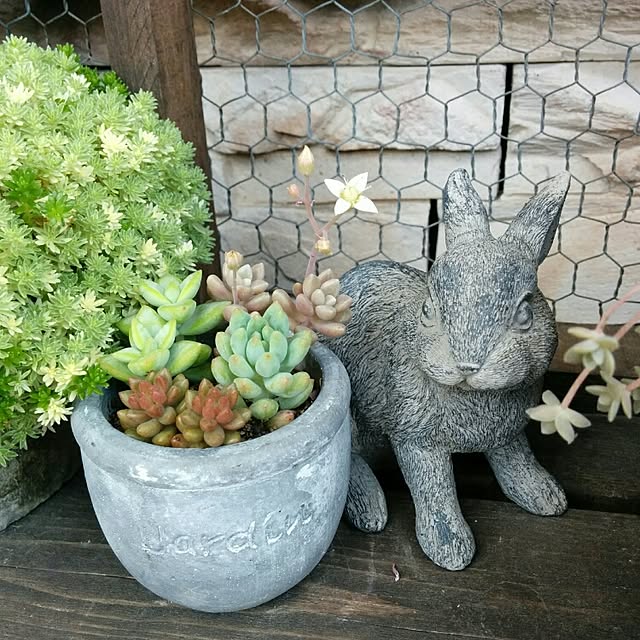 miyuさんの実例写真