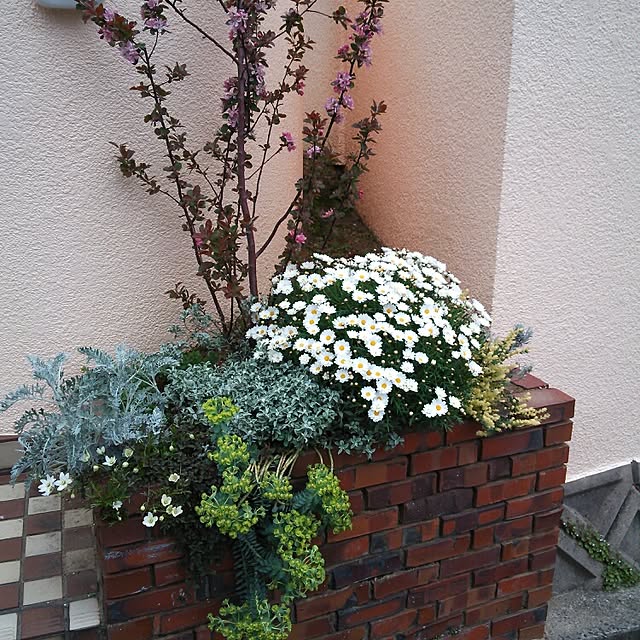 moppiさんの実例写真