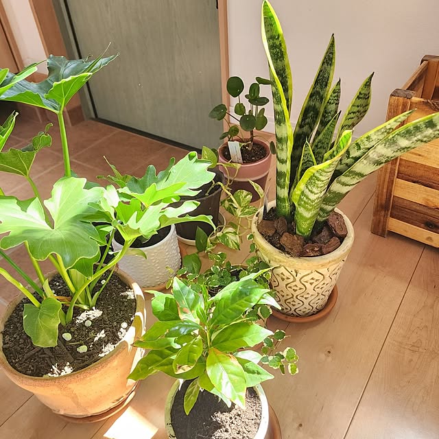 saさんの部屋