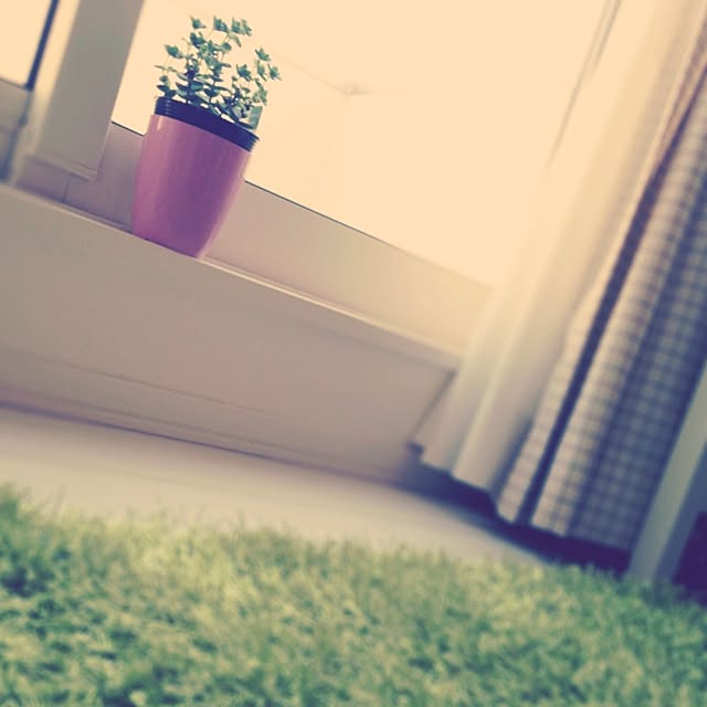 kuropeさんの実例写真