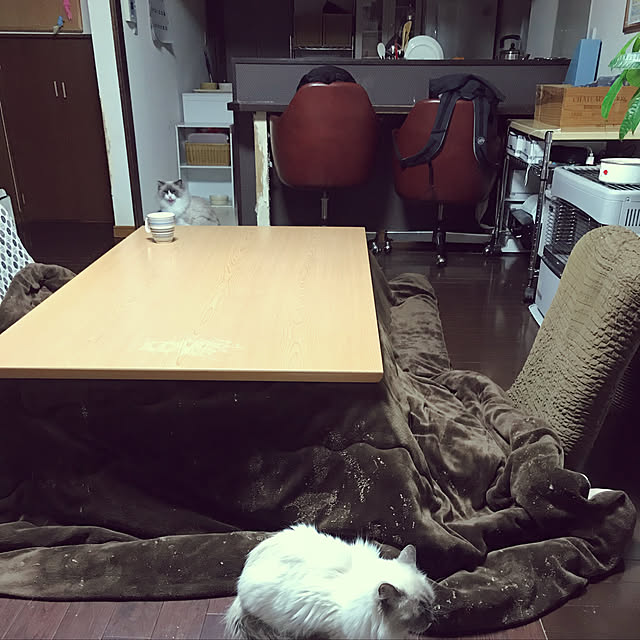 varuminさんの実例写真
