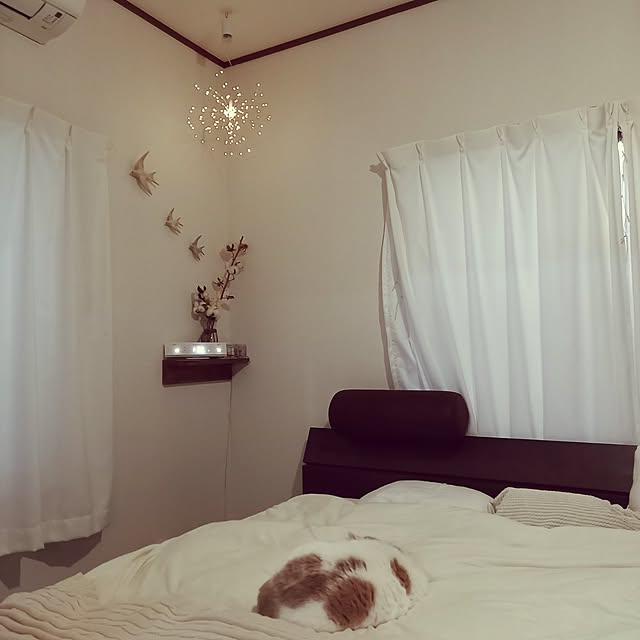amutantanさんの実例写真