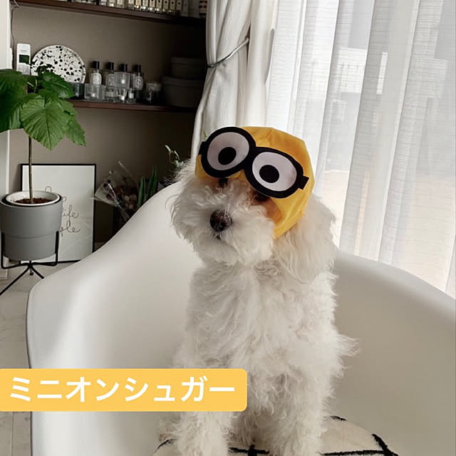 sugarcookieさんの実例写真