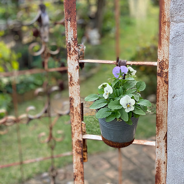 misacoさんの実例写真