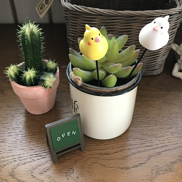 tipoさんの実例写真