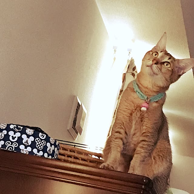 1633さんの実例写真
