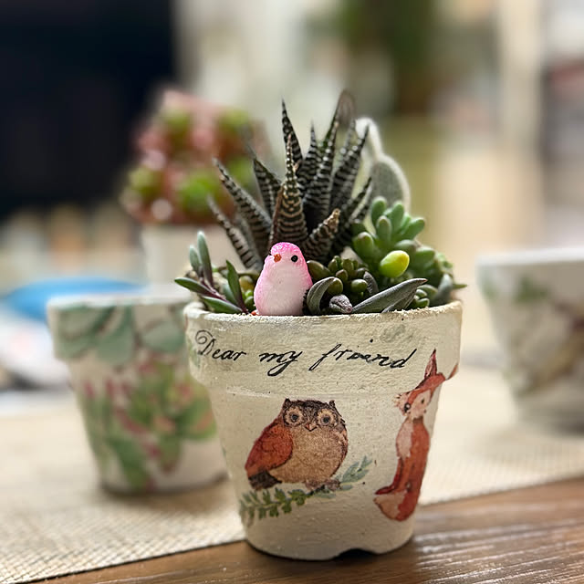 Aqettyさんの実例写真