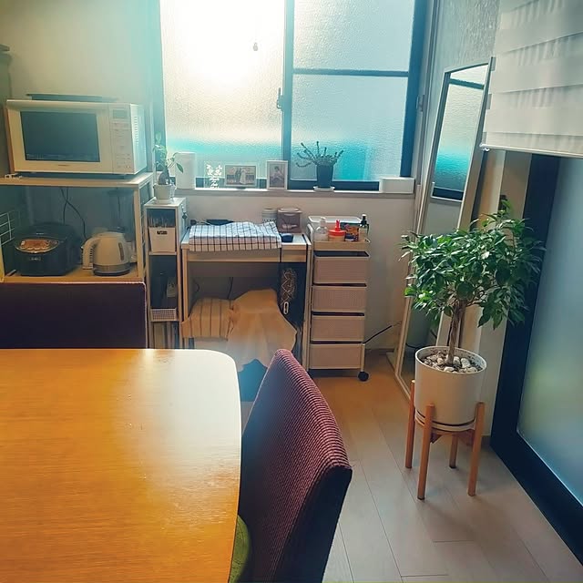 saki++さんの部屋