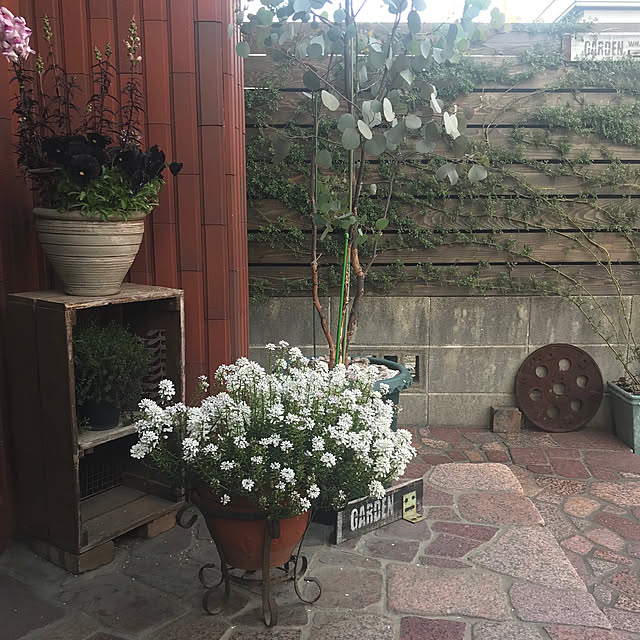 bibianさんの実例写真
