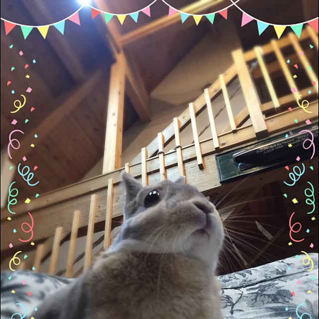oliveさんの実例写真