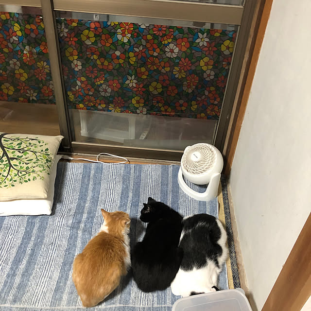 himawari123さんの実例写真
