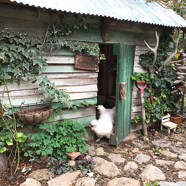 pepeさんの実例写真