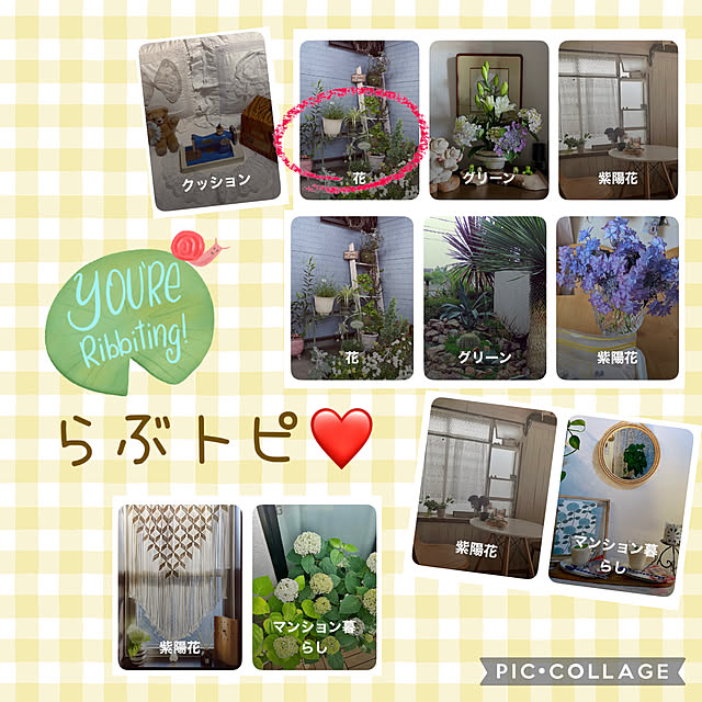 CoCo0617さんのお部屋の写真