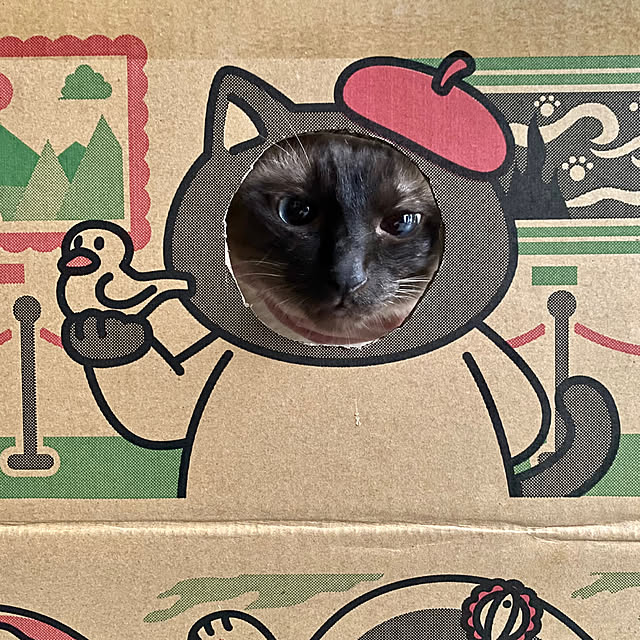 capelさんの部屋