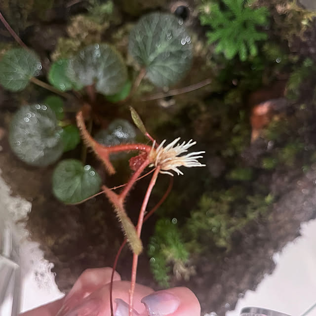 riakanaさんの部屋